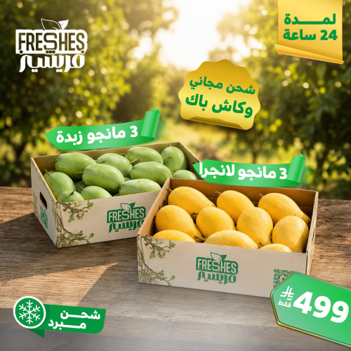 عرض الأصناف الأعلى طلب - 24 ساعة فقط