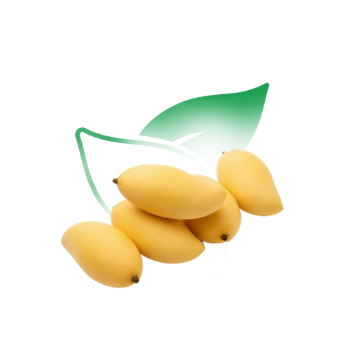 مانجو تيمور