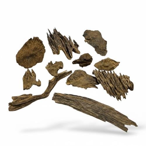 عود سيلاني طبيعي فاخر