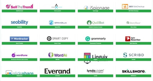 اشتراكات SEO