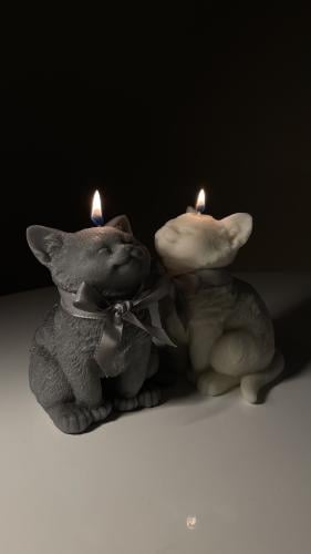 Meow Candle