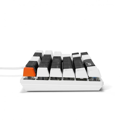 كيبورد تورتس سولكاتا 87 زي | TURTUS SULCATA-TKL 87...