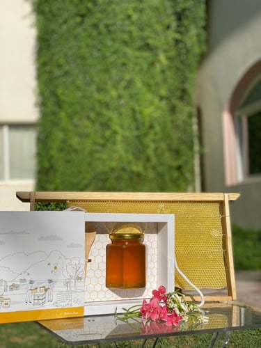 عسل ربيع زهور حائل نصف كيلو