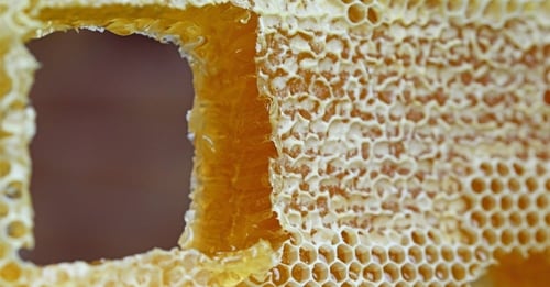 برواز كامل شمع عسل الزهور