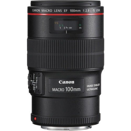 Canon EF 100mm f/2.8L Macro IS