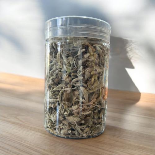 مرامية برية