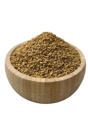 حلبة القصيم