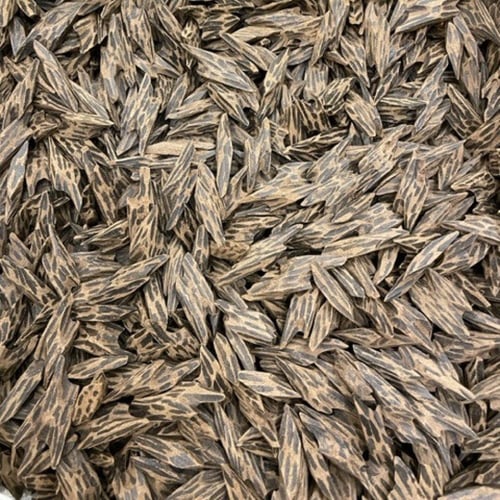 تايقر كمبودي فاخر