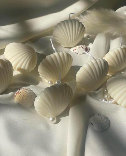 شموع الاصداف المعطره