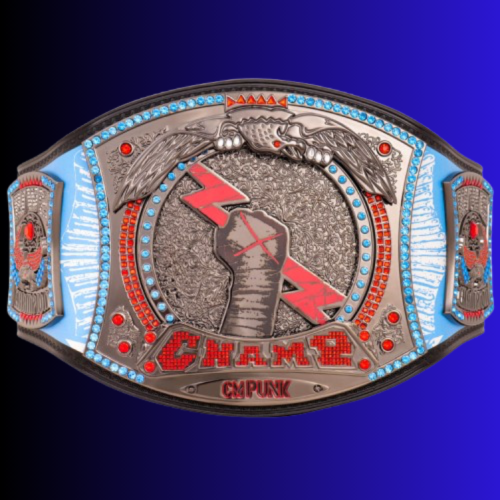 CM PUNK 434 DAY TITLE