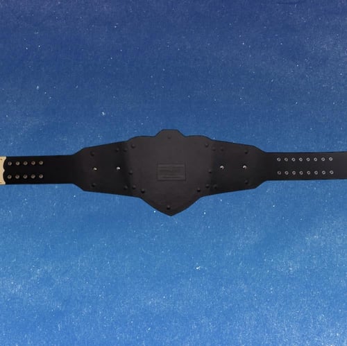 حزام رومان النسخه الخاصة