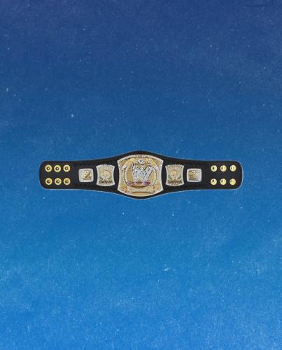 WWE Spinner Championship Mini belt