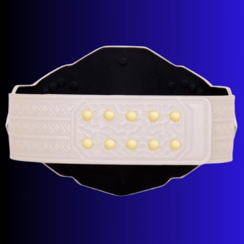 NXT WOMEN'S CHAMPIONSHIP 3.0