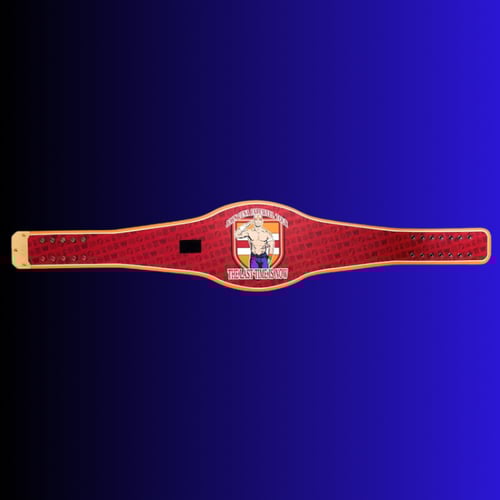 حزام جون سينا الاعتزالي Spinner تامبا فلوريدا