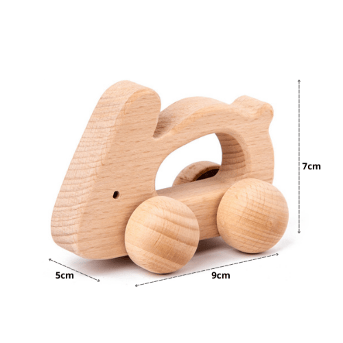 سيارات متعددة الاشكال