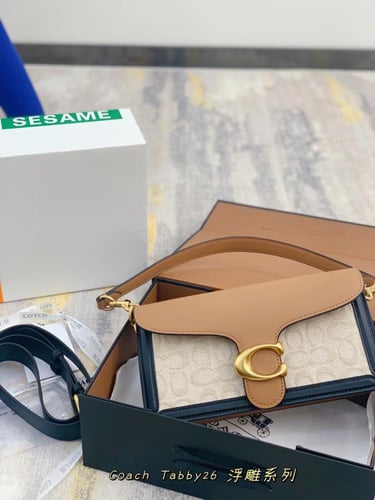 CoachTabby-89|Wbox25x15cm