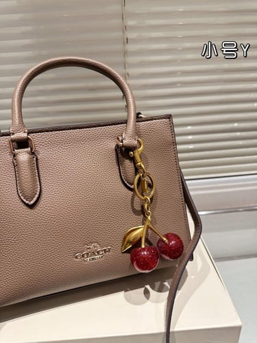 Coach288-Wbox-25*20