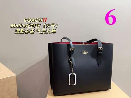 Coach-98|34x27cm