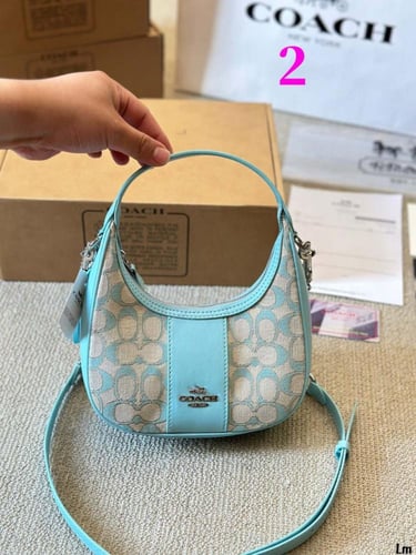 Coach75-Wbox|19x12cm