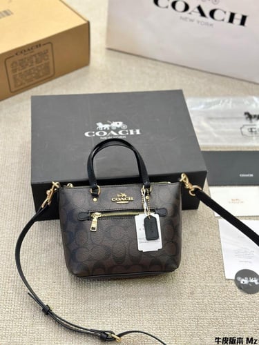 Coach bag-95|Wbox|19x13cm