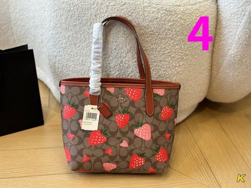 Coach210-22x21cm.Wbox