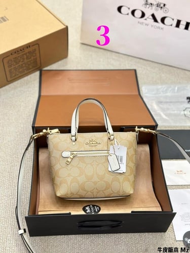Coach bag-95|Wbox|19x13cm