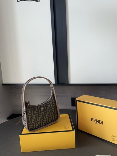 Fendi bag|20x12cm