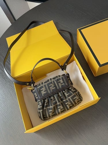 Fendi bag|20x13cm