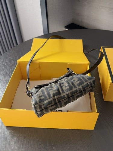 Fendi bag|20x12cm