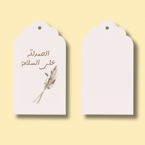 تاق الحمدلله على السلامة