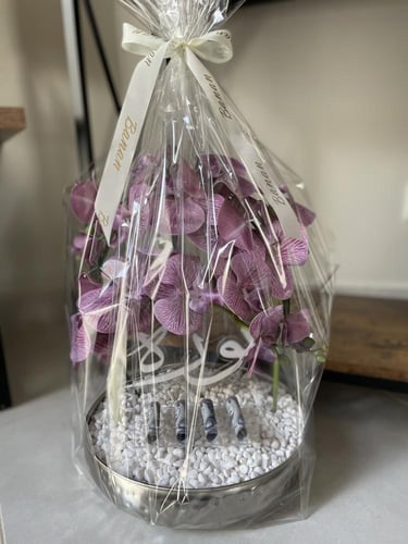 فازة اوركيد صناعي