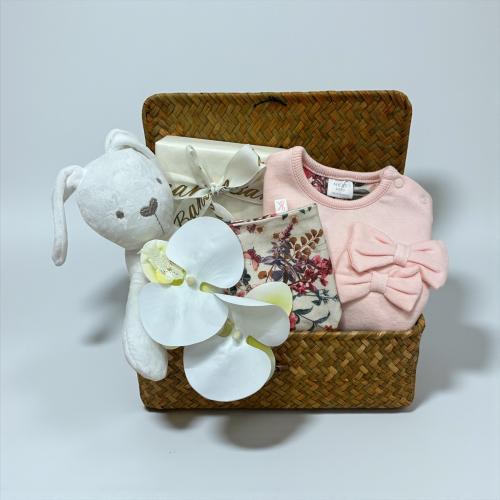 هدية مولودة شتوية نكست