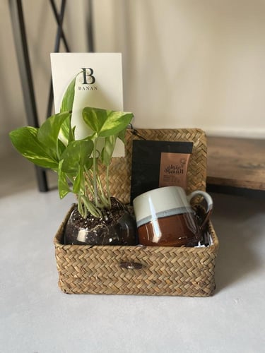 هدية مميزة | كوب مع نبتة