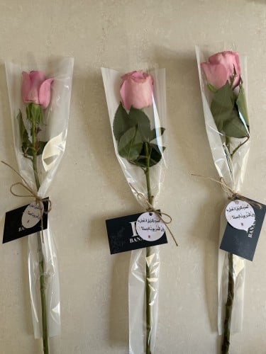 توزيعات جوري طبيعي