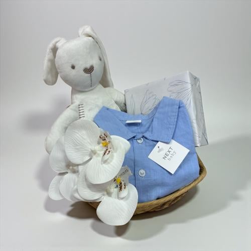 هدية مولود نكست