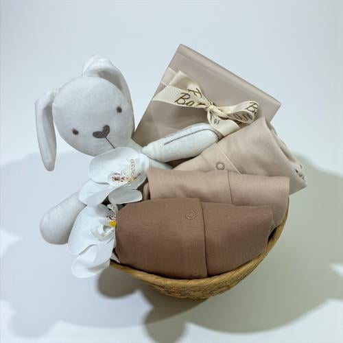 هدية مولودة نكست