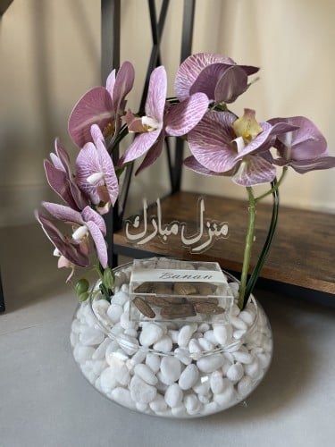 هدية منزل مبارك