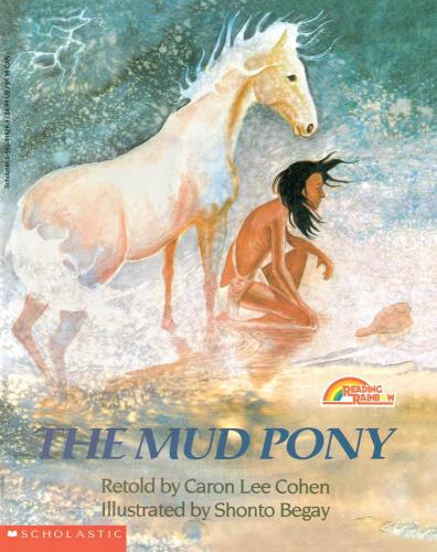 THE MUD PONY