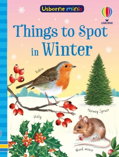 THINGS TO SPOT IN WINTER CN