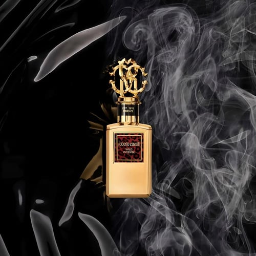 روبرتو كفالي وايلد انسينس