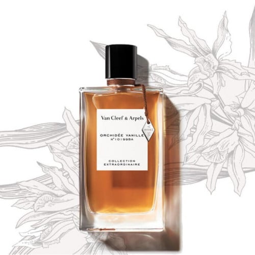فان كليف اند آربيلز اوركيدي فانيلا 75 مل