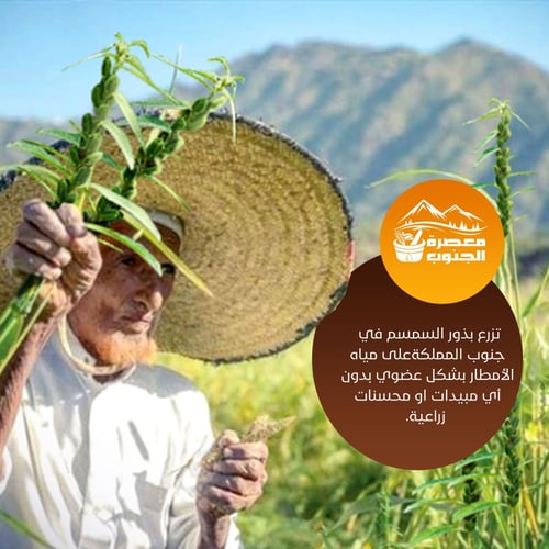 زيت سمسم سليط بلدي عصره اولى ( 4 لتر ) التوصيل مجا...