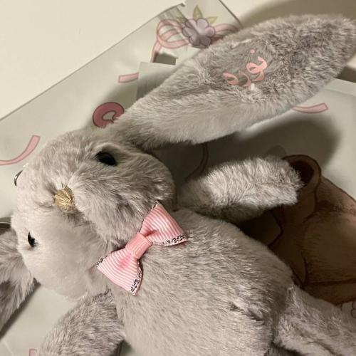 ميدالية الارنب 10 قطع