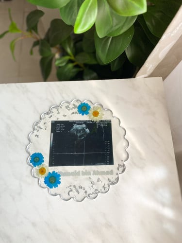 ستاند المواليد