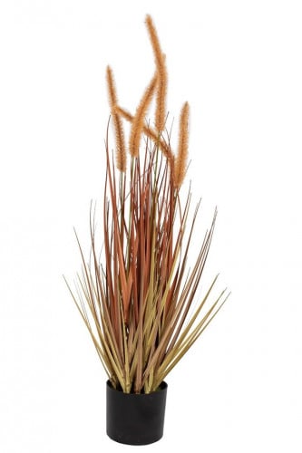 دوجتيلا برتقالية 69سم