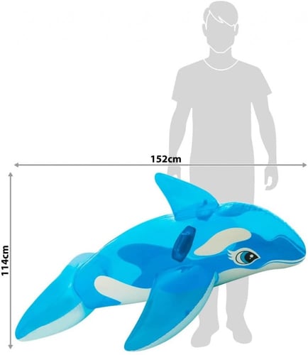 قارب على شكل دلفين