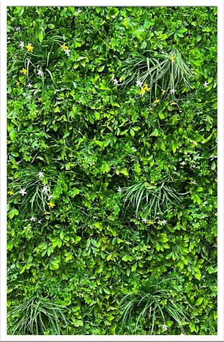 عشب صناعي جداري ثري دي بلس