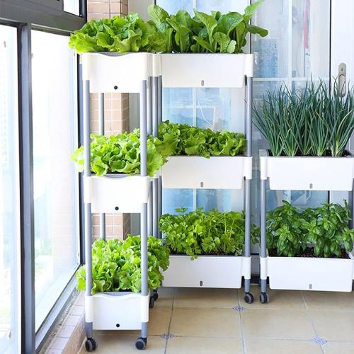 مشتل زراعي منزلي 3 طبقات