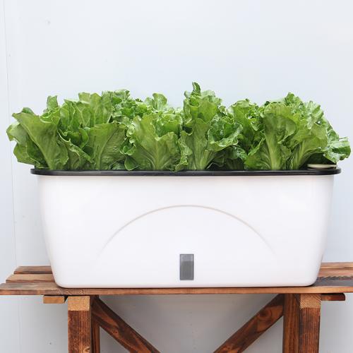 حوض زراعي مع حامل جداري