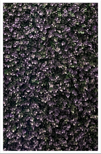 عشب صناعي جداري بنفسجي